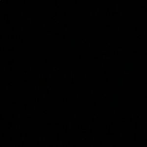 Meet your Posher, Porsha